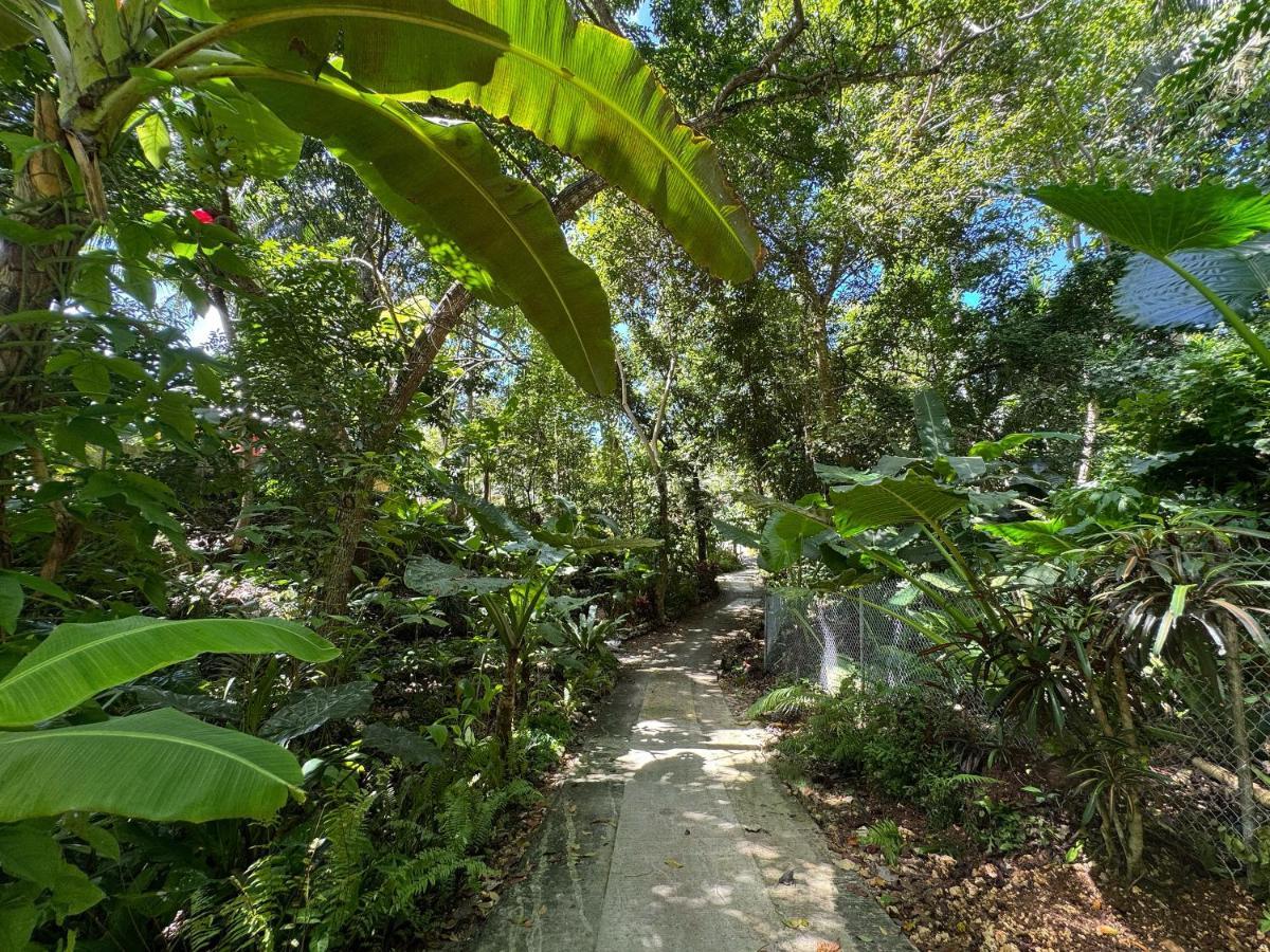 סיקיהור Jungle Kingdomes Guest House מראה חיצוני תמונה